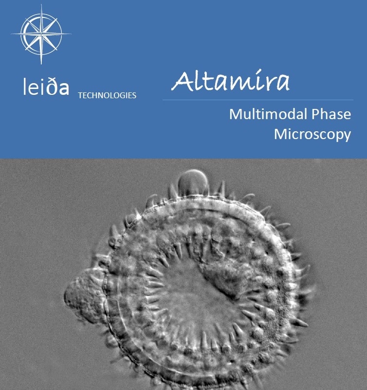 Multimodal phase microscopy